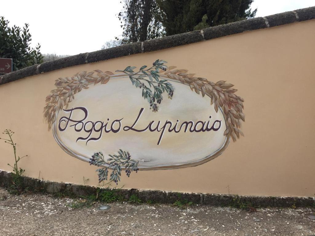 Podere Poggio Lupinaio San Martino sul Fiora Екстериор снимка