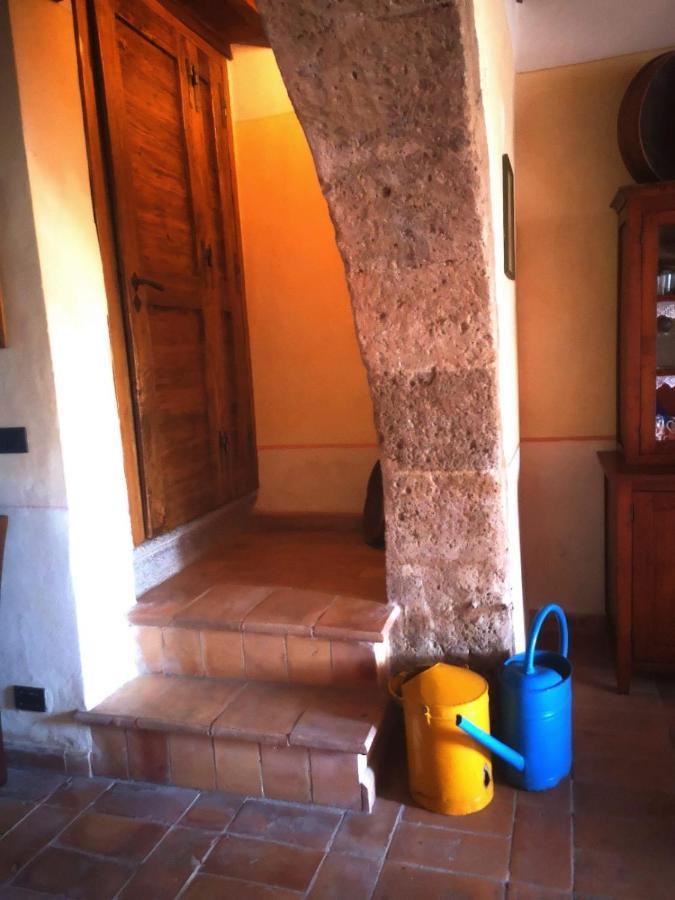 Podere Poggio Lupinaio San Martino sul Fiora Екстериор снимка